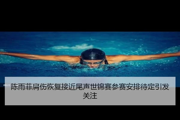 陈雨菲肩伤恢复接近尾声世锦赛参赛安排待定引发关注（SANYI）